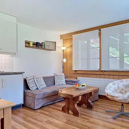 Steinnaegeli By Interhome Grindelwald