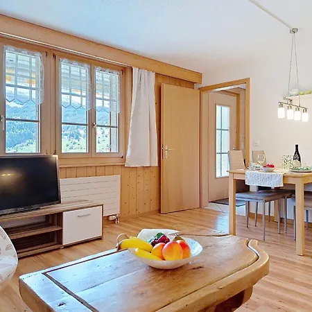 Steinnaegeli By Interhome Apartmán Grindelwald