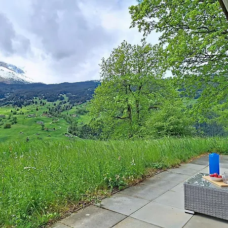 Steinnaegeli By Interhome Grindelwald