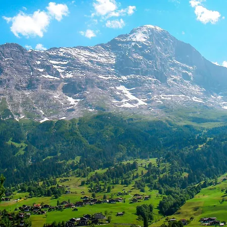 Steinnaegeli By Interhome Grindelwald